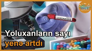 Yoluxanların sayı yenə artdı