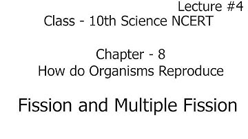 fission - multiple fission | how do organisms reproduce | science | class 10th