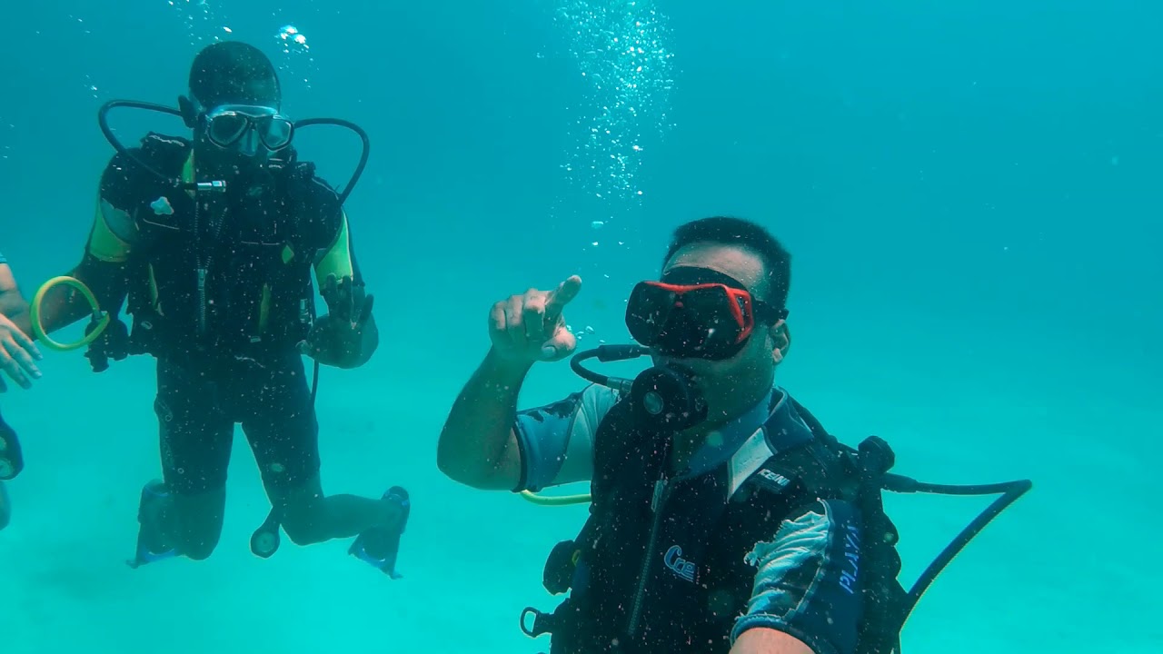 Magical Kenya... Kisite Mpunguti Marine Park 22nd April 2018 YouTube Magical Kenya... Kisite Mpunguti Marine Park 22nd April 2018 YouTube