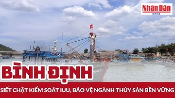 Bình Định siết chặt kiểm soát IUU, bảo vệ ngành thủy sản bền vững | Báo Nhân Dân