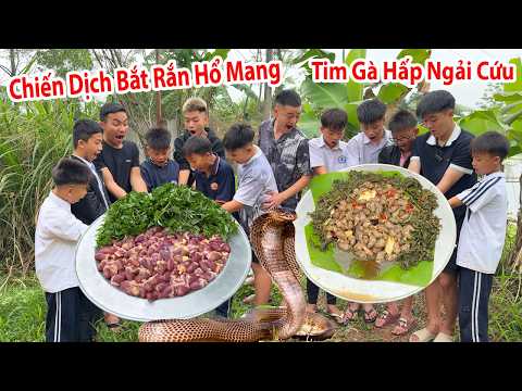 Hữu Bộ | Tim Gà Hấp Ngải Cứu Và Chiến Dịch Bắt Rắn Hổ Mang