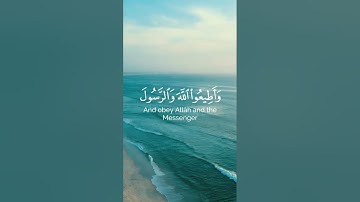 #الشيخ #سورة_المؤمنون #عبدالرحمن_مسعد #قران_كريم #ياسر_الدوسري #اكسبلور #راحة_نفسية #لايك #قراءة