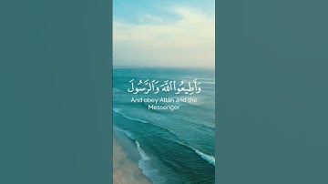 #الشيخ #سورة_المؤمنون #عبدالرحمن_مسعد #قران_كريم #ياسر_الدوسري #اكسبلور #راحة_نفسية #لايك #قراءة