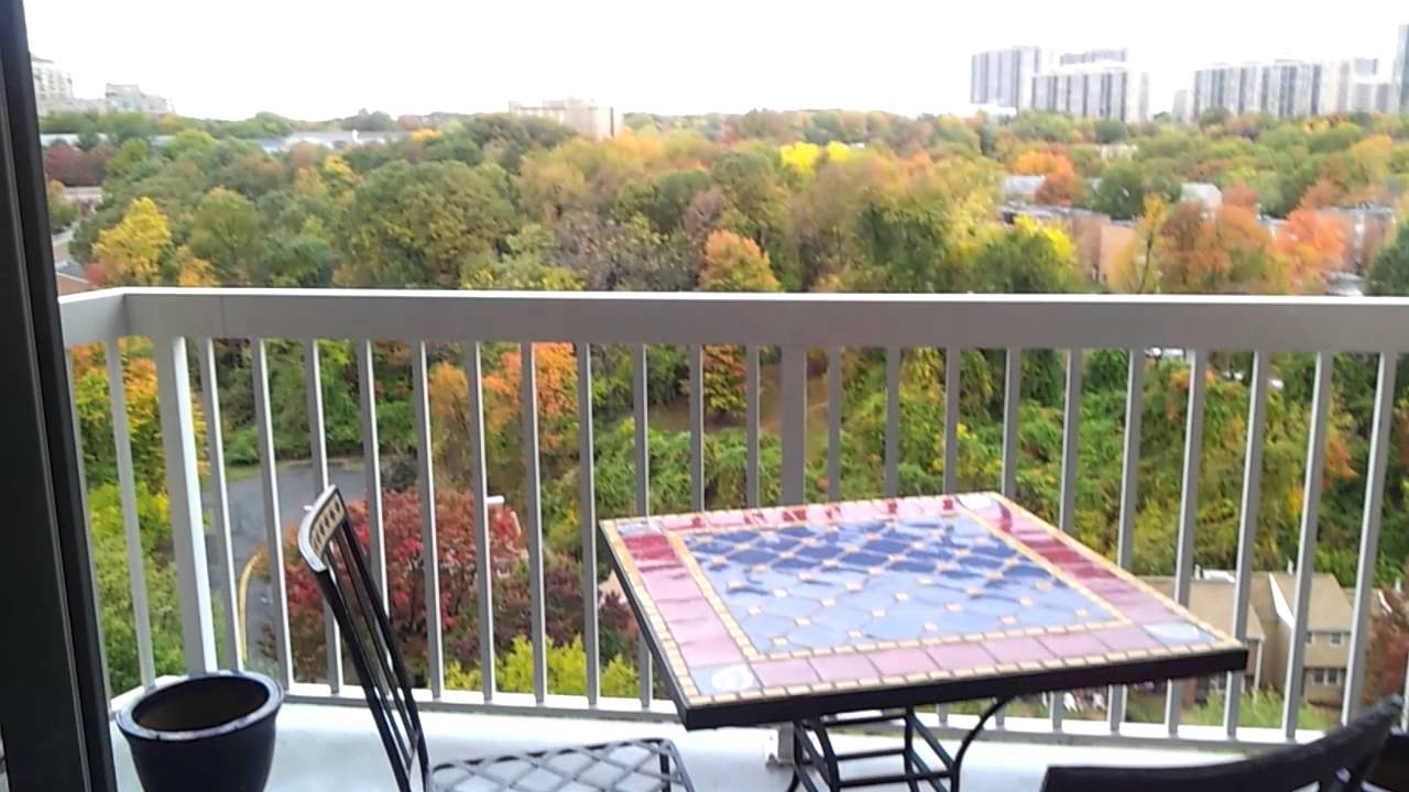 Northampton Place condo, 15 min to DC, 3101 HAMPTON DR 1307