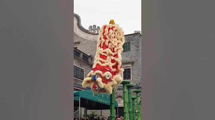 Chinese Lion Dance Performance #liondance #shortsfeed #shortvideo #shorts