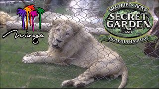 Siegfried & Roy's Secret Garden and Dolphin Habitat at The Mirage Tour & Review