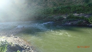 Câu cá Khính vùng Tây bắc. #vietnam #nature #travel #fishing #cauca