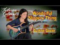 Wonderful Slippery Thing - Guthrie Govan - Solo Cover by Federica Golisano  with Cort X700 Duality