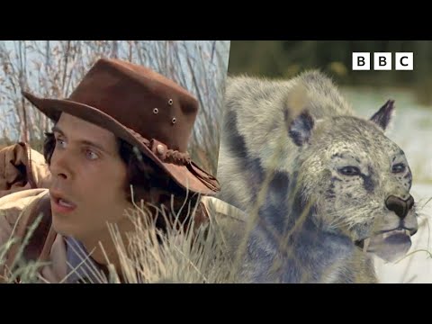 Andy Saving The Day 20 MINUTES Prehistoric Adventures Andy S Amazing Adventures