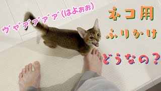 ピュリナワンが薄味だからネコ用ふりかけを試してみると | アビシニアンの子猫アビー