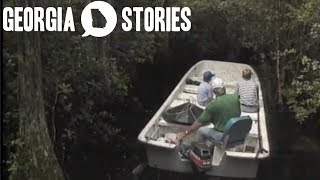 A tour through the Okefenokee Swamp | Georgia Stories