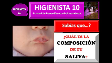 ¿Qué es el flujo salival?