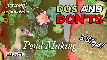 Avoid These Mistakes! Safe Pond Construction Methods You Need to Know