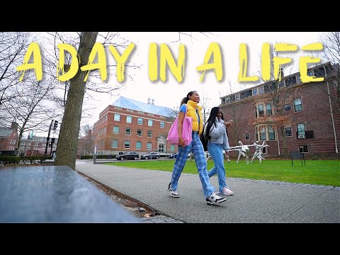 A Day In A Life At Brown University