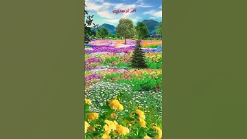 تلاوة مباركة من سورة الاحزاب. الشيخ عبد الباسط عبد الصمد