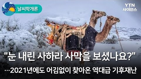 [날씨학개론] "눈 내린 사하라 사막을 보셨나요?"…2021년에도 어김없이 찾아온 역대급 ... / YTN 사이언스