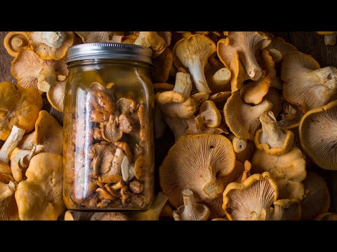 How to Pickle Mushrooms