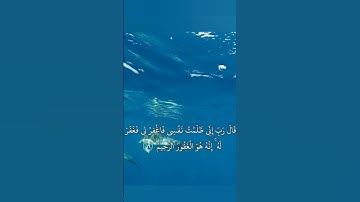 سورة القصص     #المنشاوي #قرآن #قران_كريم #foryou #اكسبلور #explore #تيك_توك #explore #fyp