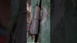 Como poner bisagras para Tubular de 5/8' Roberto Ortega de Jalapa Veracruz