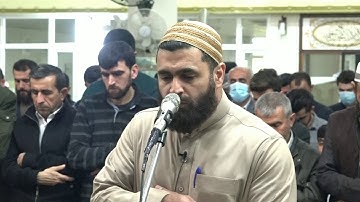 عشائية بمقام البيات ..فيما تيسر من سورة البقرة