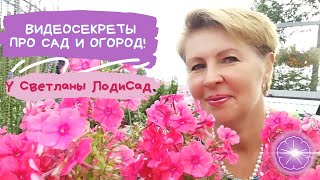 Рассада Цветы Подготовка к сезону. Ответы на Вопросы