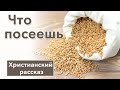 🔘 Что посеешь - ИНТЕРЕСНЫЙ ХРИСТИАНСКИЙ РАССКАЗ | Христианские рассказы