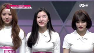 160122 프로듀스101 기획사 포퍼먼스 플레디스 CUT