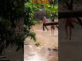বৃষ্টির সন্ধ্যা#