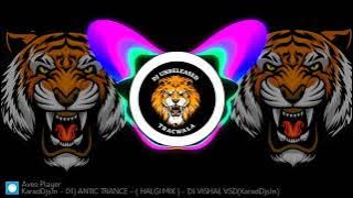 Antic Them Halgi Mix | Animal Trance Halgi Mix | Dj Vishal Vsd x it's Aadi x  DJUNRELEASEDTRAC