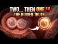 One Survives, One Doesn’t — The Science Behind It 🧬#biology #education  #HumanFertilization 