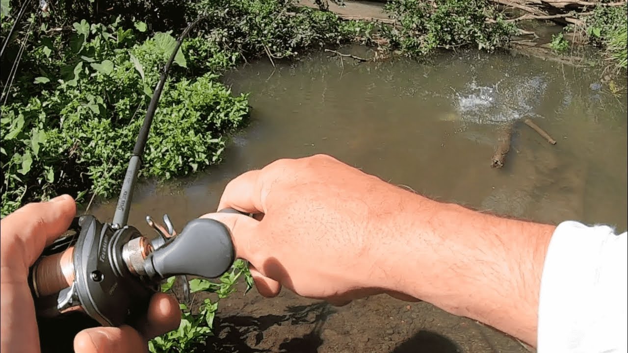 BASS FISHING In Small Creeks. YouTube