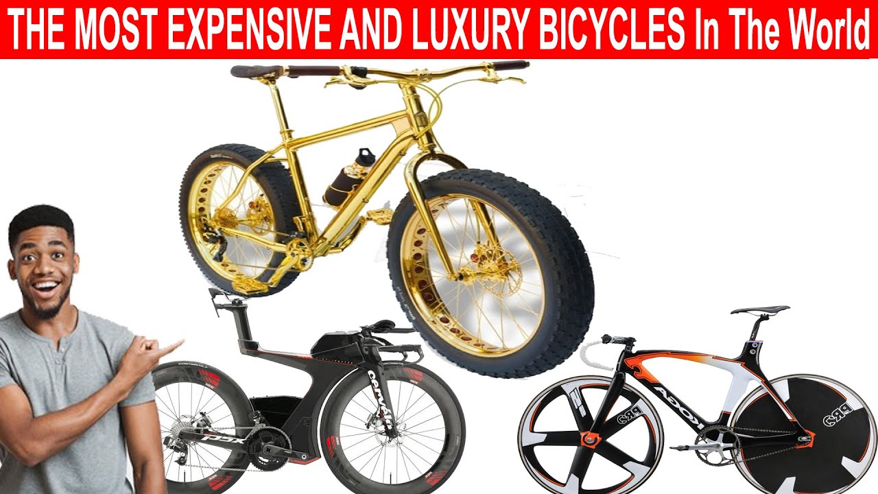 Most Expensive Cycle In The World 2019 Ppgbbe intranet biologia ufrj br Most Expensive Cycle In The World 2019 Ppgbbe intranet biologia ufrj br