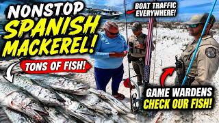 Spanish Mackerel Surf Fishing! Game Wardens and NONSTOP Action + catch and clean