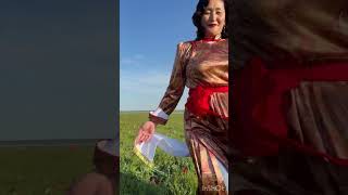 Тюльпановые поля Калмыкии