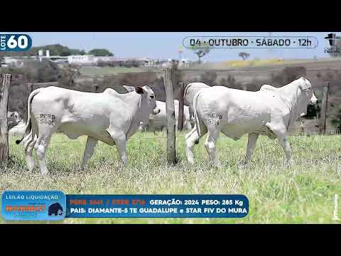 LOTE 60   PERB 5661 5716