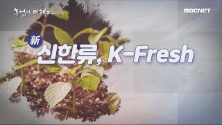 [MBCNET명품다큐] 농업이 미래다 3부 - 신한류, K-Fresh 다시보기