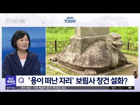 <strong>비자나무</strong> 숲*차밭 어우러진 &amp;#39;보림사&amp;#39; (이슈인 관광 2020.7.31)