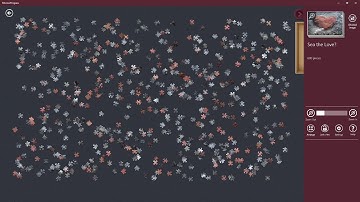 Jigsaw Puzzle ǀ Collection: Heart Shapes ǀ Sea the Love?