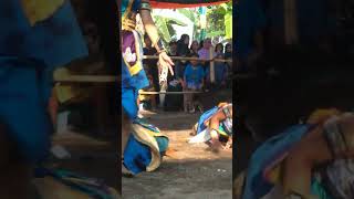 Lagu Tombo Ati Bikin Penari Kesurupan jathilan jathilanjogja shorts trending art horse