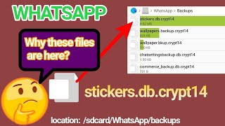WhatsApp stickers.db.crypt 14 file | What happen if we delete? screenshot 3