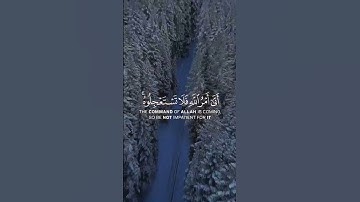 الاية 1 من سورة(النحل)/شاشة سوداء #القرآن