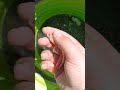 5 мая 2025 г.