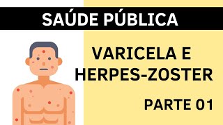 Varicela e Herpes-Zóster - Saúde Pública - Doenças Infecciosas e Transmissíveis