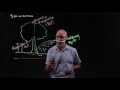 Understanding Salinization