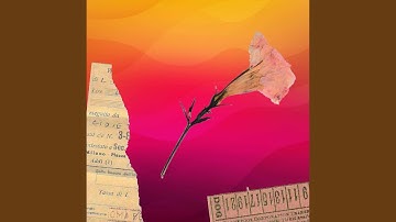 Mysterious Backdrops for Relaxed Throwbacks