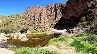La Barge Canyon is the Best Springtime Hike in the Superstitions!