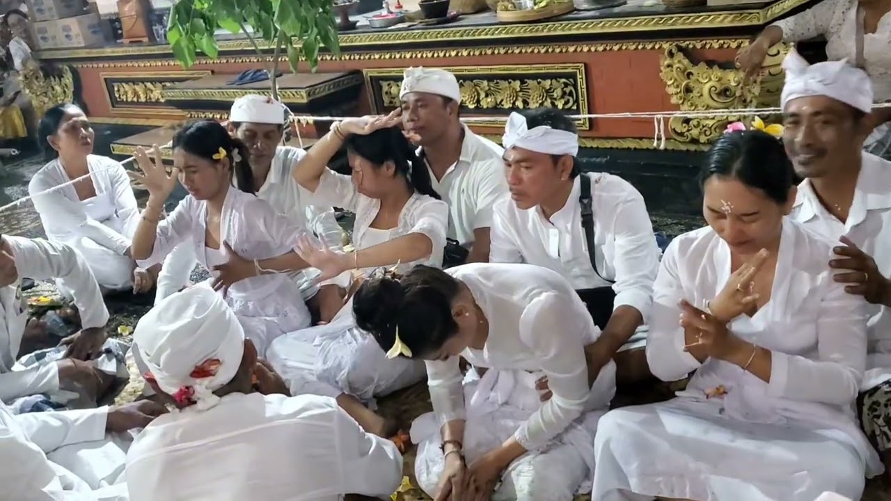 Rabu, 29-10-2025, Mepahayu Jro Mangku Anyar - Puja Wali Di Pura Panti Agung Pasek Gelgel Pds.