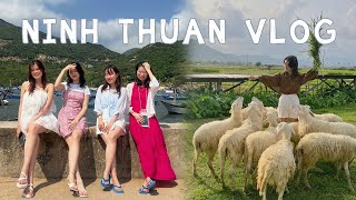 Ninh Thuận Vlog Ăn Gì Chơi Gì Khi Du Lịch Ninh Thuận Cùng Hội Bạn Thân?