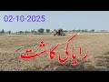 Tipu Sultan Raya Cultivation | 3 Kg Seed &amp; 50 Kg DAP Per Acre | Agri Me
