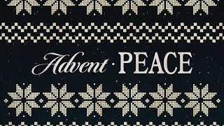 Advent: Peace Part 1 - Daily Dose